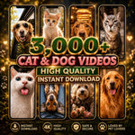 100,000+ Viral Reels Bundle | Faceless Content | AI Animated Videos | TikTok Instagram YouTube Shorts Pack PLR MRR