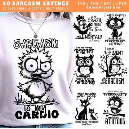 Funny Quotes SVG Sarcastic SVG Bundle Grumpy Birds SVG Cat Lover Sarcasm Print Humor Saying Svg Dxf Pdf Png Jpeg Bundle